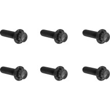 Transmission Top Cover Titanium 12-Point Bolt Kit — Black