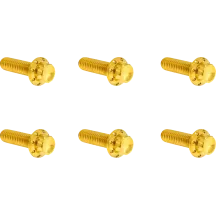 Transmission Top Cover Titanium 12-Point Bolt Kit — Gold