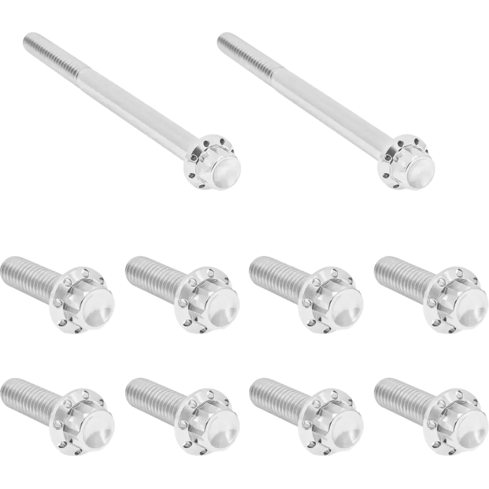 Transmission Side Cover & Trap Door Titanium 12-Point Bolt Kit — Titanium, Silver Polished