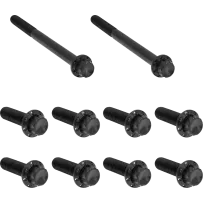 Transmission Side Cover & Trap Door Titanium 12-Point Bolt Kit — Black