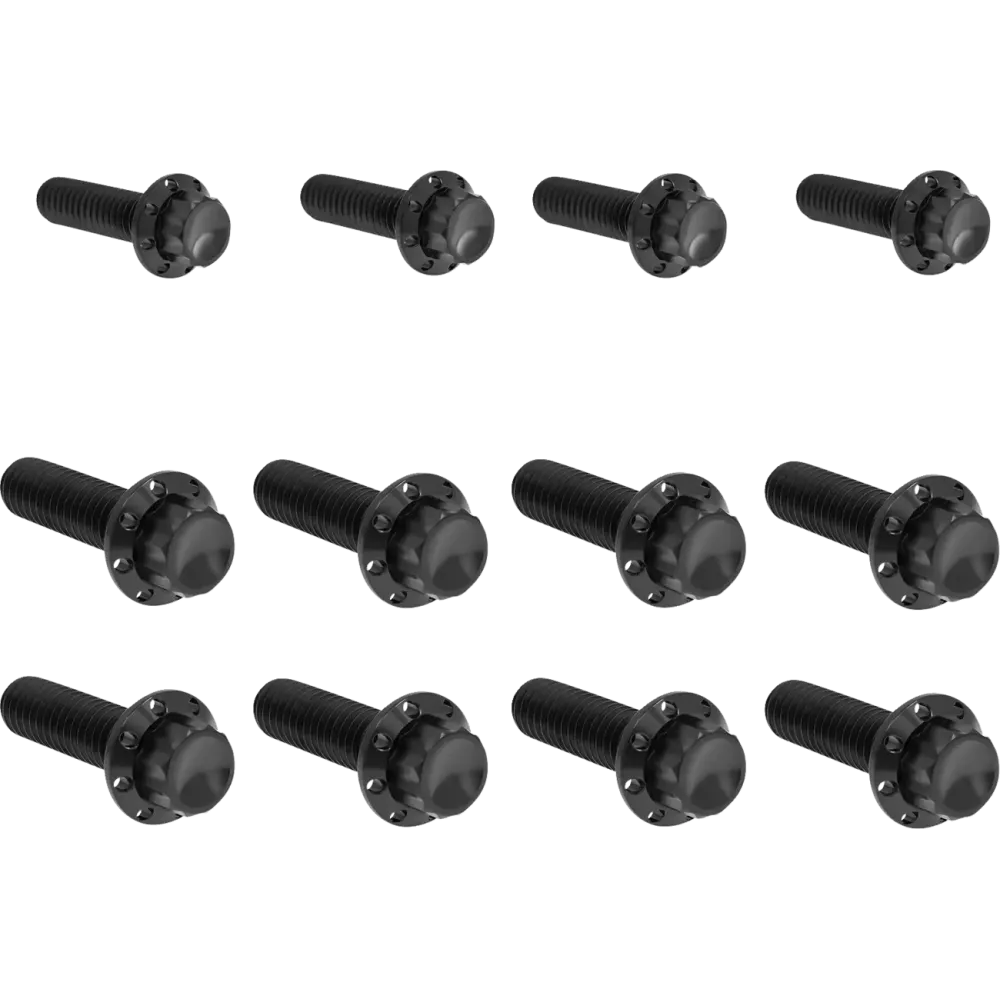 Transmission Side Cover & Trap Door Titanium 12-Point Bolt Kit — Black