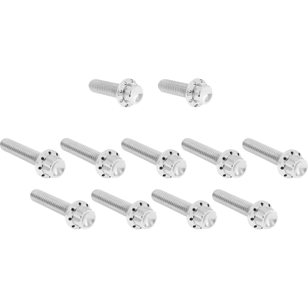 Cam Cover/Point Cover Titanium 12-Point Bolt Kit — Polished silver
