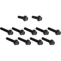 Cam Cover/Point Cover Titanium 12-Point Bolt Kit — Black
