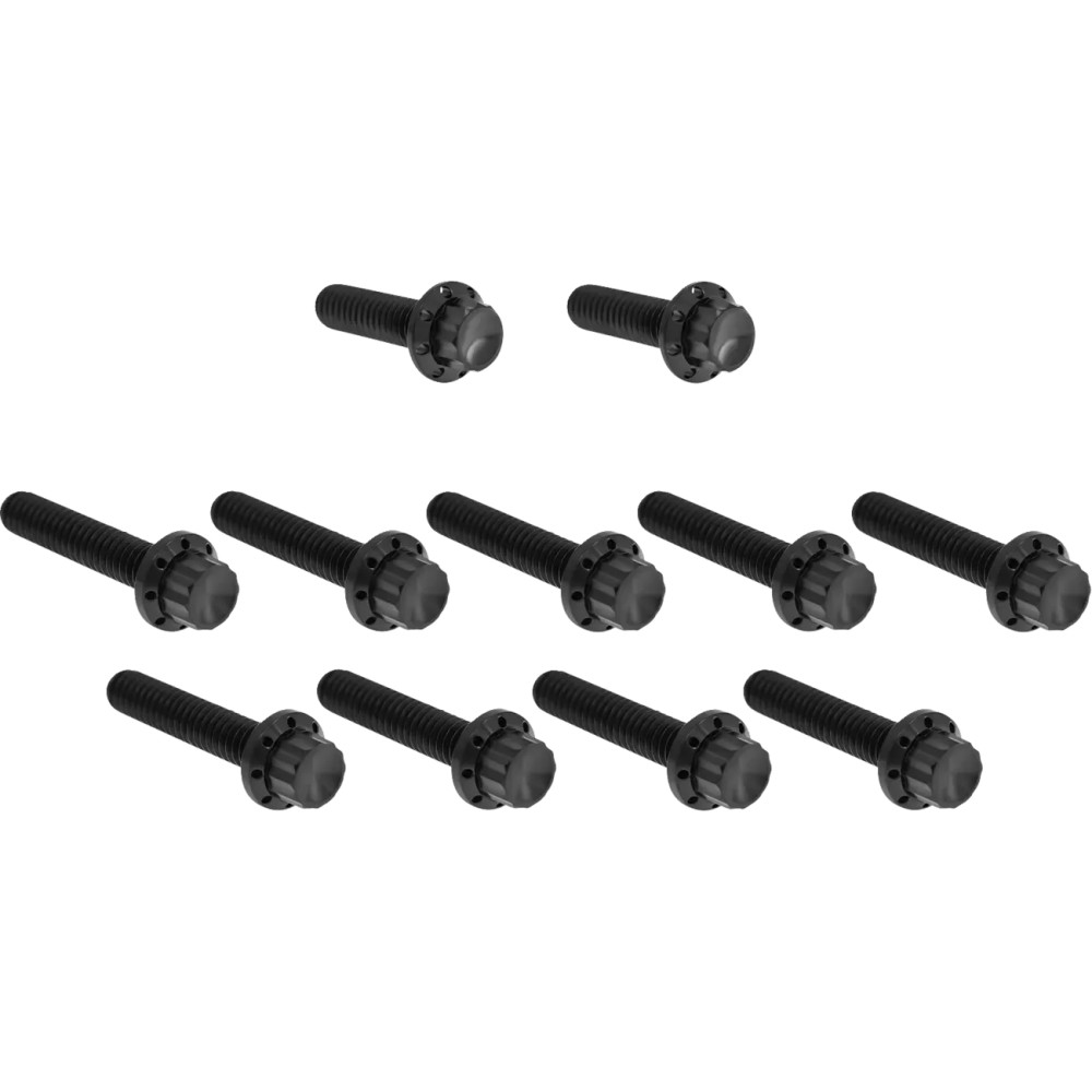 Cam Cover/Point Cover Titanium 12-Point Bolt Kit — Black