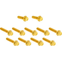Cam Cover/Point Cover Titanium 12-Point Bolt Kit — Gold