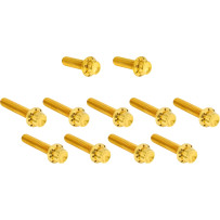 Cam Cover/Point Cover Titanium 12-Point Bolt Kit — Gold