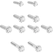 Transmission Side Cover & Trap Door Titanium 12-Point Bolt Kit — Titanium, Polished Silver, Kit