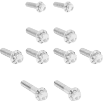 Transmission Side Cover & Trap Door Titanium 12-Point Bolt Kit — Titanium, Polished Silver, Kit