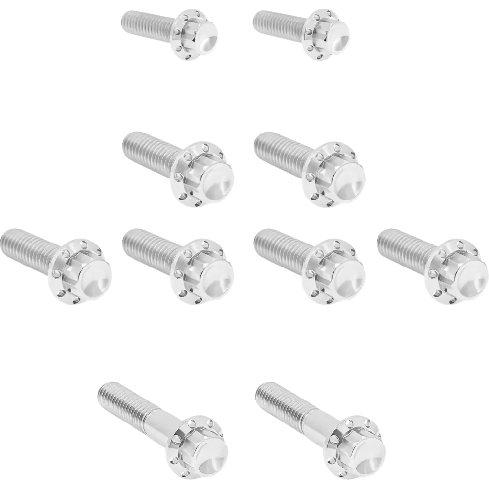 Transmission Side Cover & Trap Door Titanium 12-Point Bolt Kit — Titanium, Polished Silver, Kit