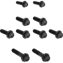 Transmission Side Cover & Trap Door Titanium 12-Point Bolt Kit — Black