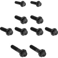 Transmission Side Cover & Trap Door Titanium 12-Point Bolt Kit — Black