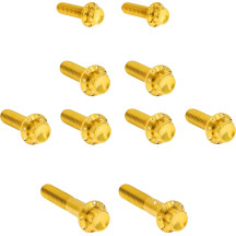 Transmission Side Cover & Trap Door Titanium 12-Point Bolt Kit — Gold