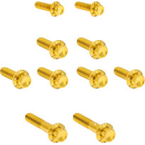 Transmission Side Cover & Trap Door Titanium 12-Point Bolt Kit — Gold