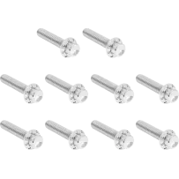 Cam Cover/Point Cover Titanium 12-Point Bolt Kit — 12-point, Titanium, Silver