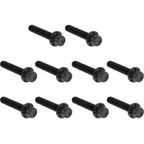 Cam Cover/Point Cover Titanium 12-Point Bolt Kit — Black
