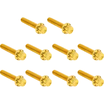 Cam Cover/Point Cover Titanium 12-Point Bolt Kit — 12-point, titanium, gold