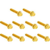 Cam Cover/Point Cover Titanium 12-Point Bolt Kit — 12-point, titanium, gold