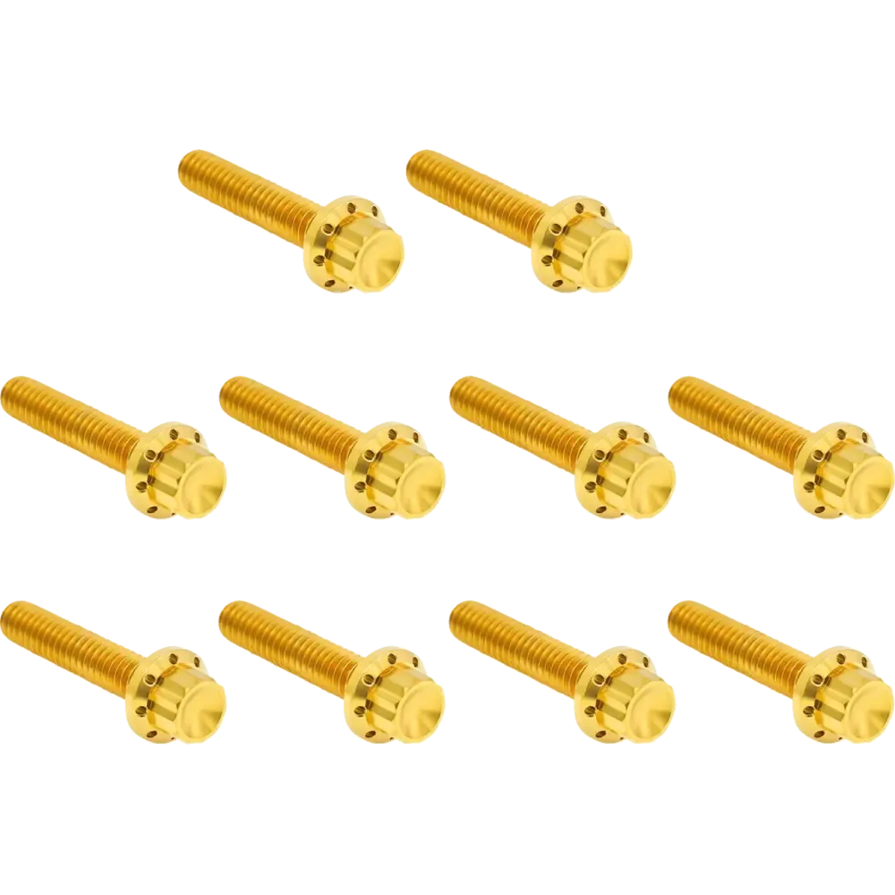 Cam Cover/Point Cover Titanium 12-Point Bolt Kit — 12-point, titanium, gold