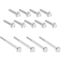 Outer Primary Cover Titanium 12-Point Bolt Kit — Silver, Polished