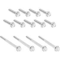 Outer Primary Cover Titanium 12-Point Bolt Kit — Silver, Polished