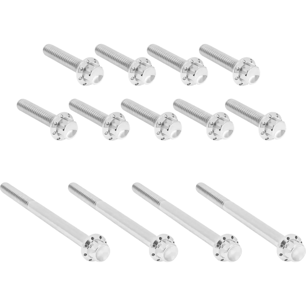 Outer Primary Cover Titanium 12-Point Bolt Kit — Silver, Polished