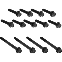 Outer Primary Cover Titanium 12-Point Bolt Kit — Black