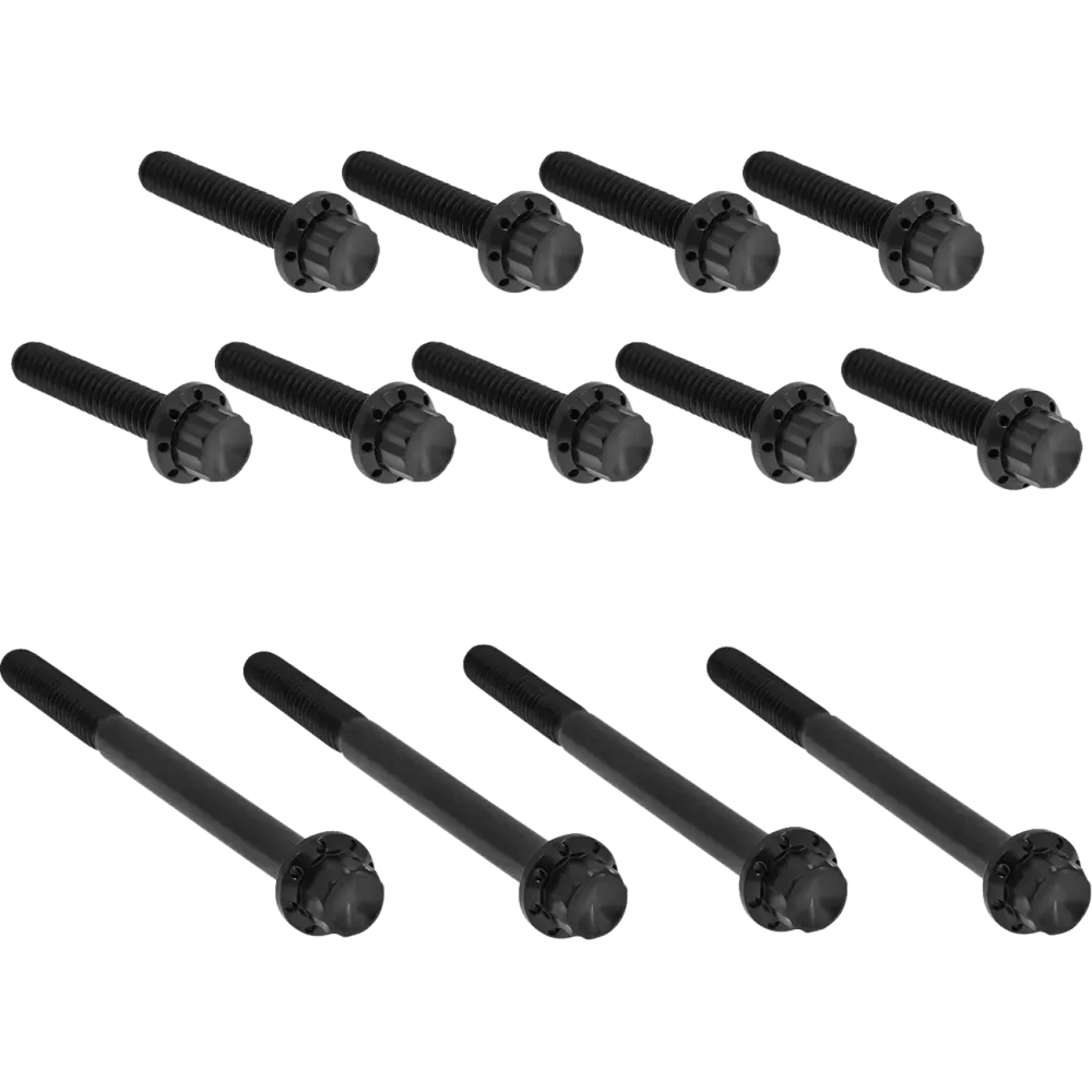 Outer Primary Cover Titanium 12-Point Bolt Kit — Black