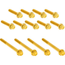 Outer Primary Cover Titanium 12-Point Bolt Kit — Gold