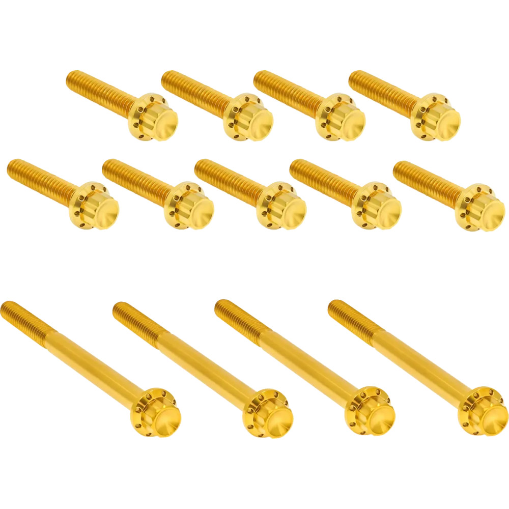 Outer Primary Cover Titanium 12-Point Bolt Kit — Gold