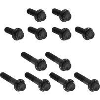 Rocker Box 12-Point Titanium Bolt Kit — Black