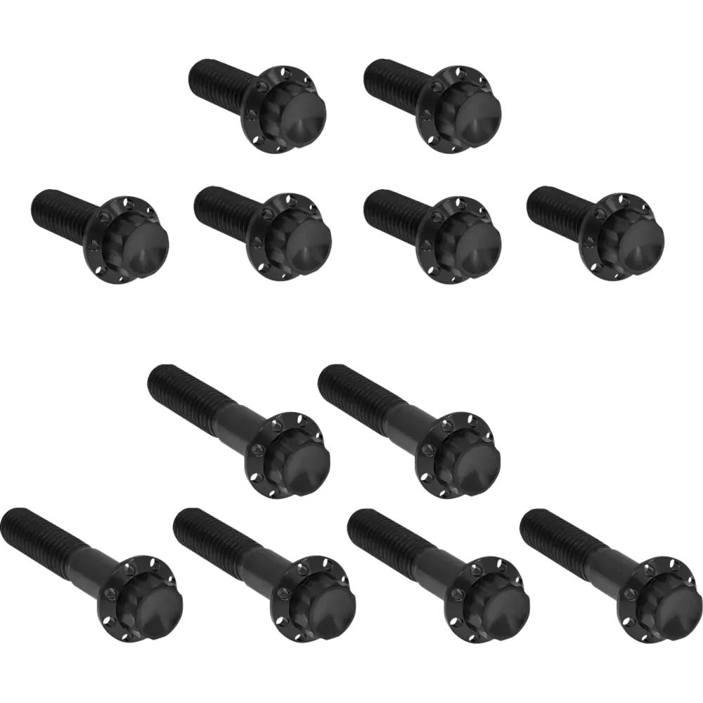 Rocker Box 12-Point Titanium Bolt Kit — Black