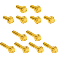 Rocker Box 12-Point Titanium Bolt Kit — Gold