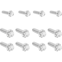 Transmission Side Cover & Trap Door Titanium 12-Point Bolt Kit — Silver Polished, Kit