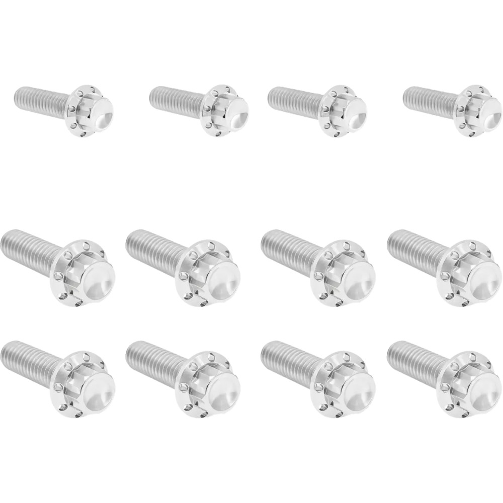 Transmission Side Cover & Trap Door Titanium 12-Point Bolt Kit — Silver Polished, Kit