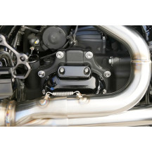 Transmission Side Cover & Trap Door Titanium 12-Point Bolt Kit — Silver Polished, Kit