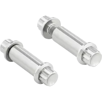 Foot Peg Titanium 12-Point Bolt Kit — Silver, Polished