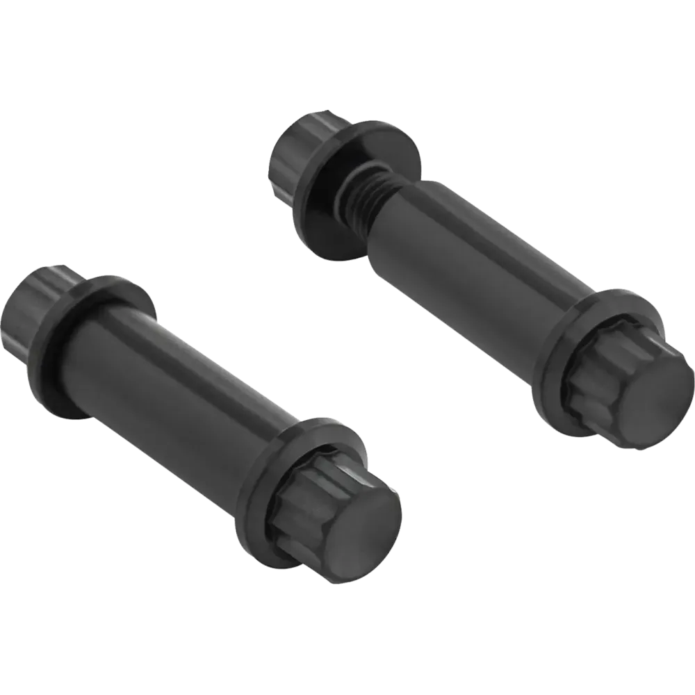 Foot Peg Titanium 12-Point Bolt Kit — Black