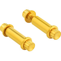 Foot Peg Titanium 12-Point Bolt Kit — Gold