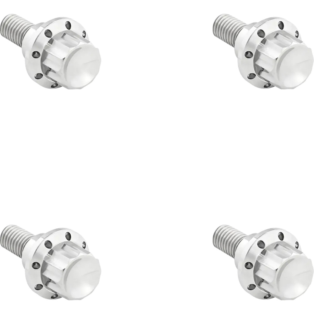 Windshield Titanium 12-Point Bolt Kit — '24+ Road Glides, Silver