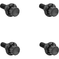 Windshield Titanium 12-Point Bolt Kit — '24+ Road Glide, Black