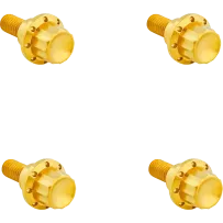 Windshield Titanium 12-Point Bolt Kit — '24+ Road Glide, Gold