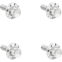 Titanium 12-Point Windshield Bolts — Silver Polished, Kit for Road Glide