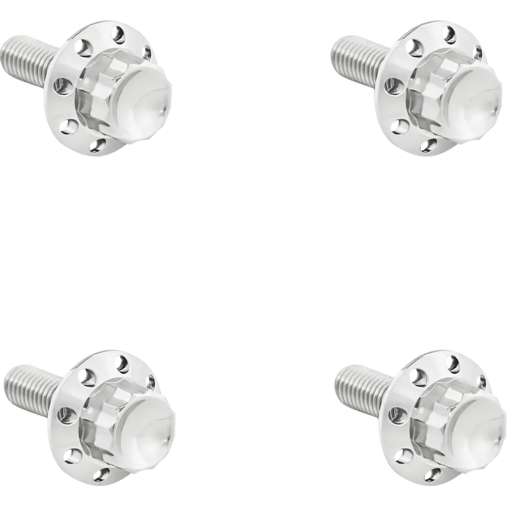 Titanium 12-Point Windshield Bolts — Silver Polished, Kit for Road Glide