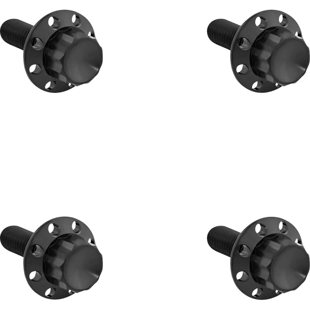 Titanium 12-Point Windshield Bolts — Road Glide fitment, Black