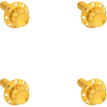 12-Point Windshield Bolt Kit — Gold, Titanium