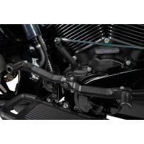 Heel/Toe Shifter — Heel/Toe, black anodized