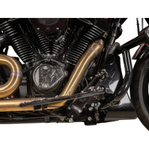 Aggressor Floorboards — 12 in × 4-1/2 in, Black anodized