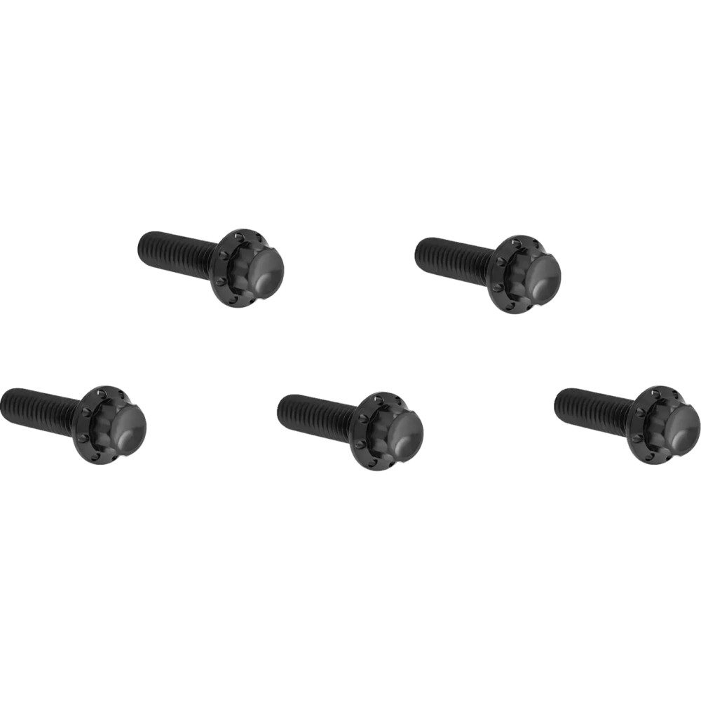 Derby Cover 12-Point Titanium Bolt Kit — Black