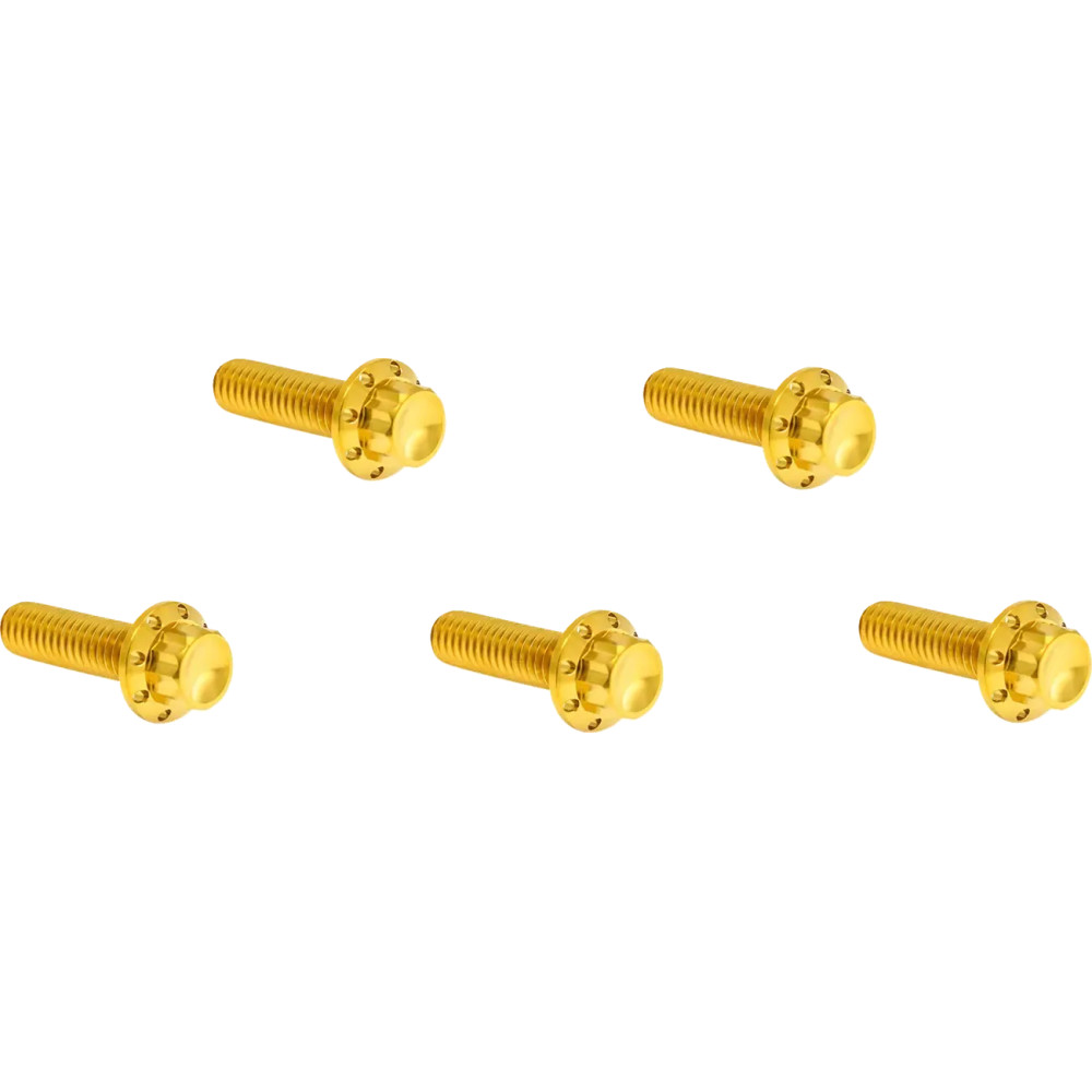 Derby Cover 12-Point Titanium Bolt Kit — Gold