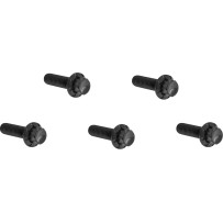 Juego de pernos de 12 puntos para tapa Derby de titanio — '18+ M8 Softail, negro